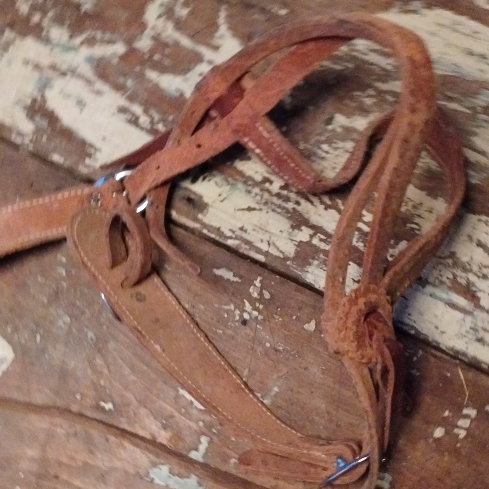 Horse leather headstall